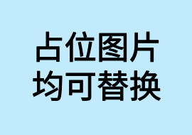 ​占位符号占位符号33